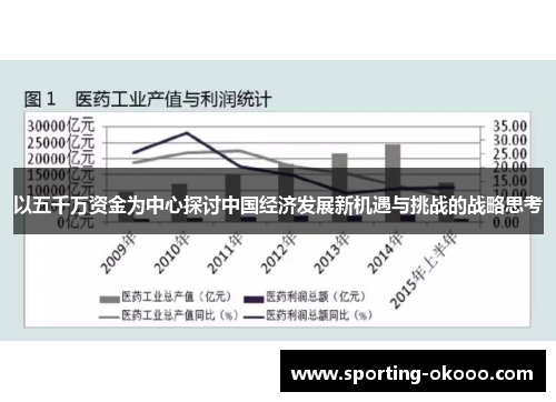 以五千万资金为中心探讨中国经济发展新机遇与挑战的战略思考